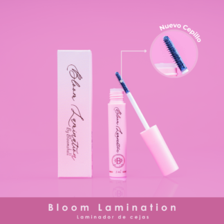 Bloom lamination de cejas